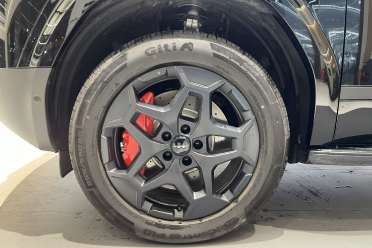 Used Formula Leopard Tai 7 2025 Model 190 km Four-Wheel Drive Ultra Edition
