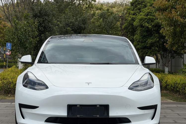 Used Tesla Model 3 2021 Standard Range Rear-Wheel Drive Upgraded Version 3D6
