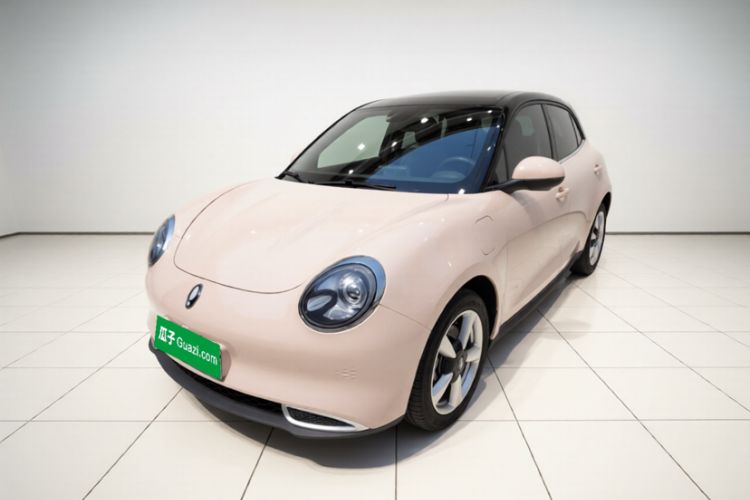 Used ORA Good Cat 2023 401 km Standard Range Luxury Version Lithium Iron Phosphate Exterior 4