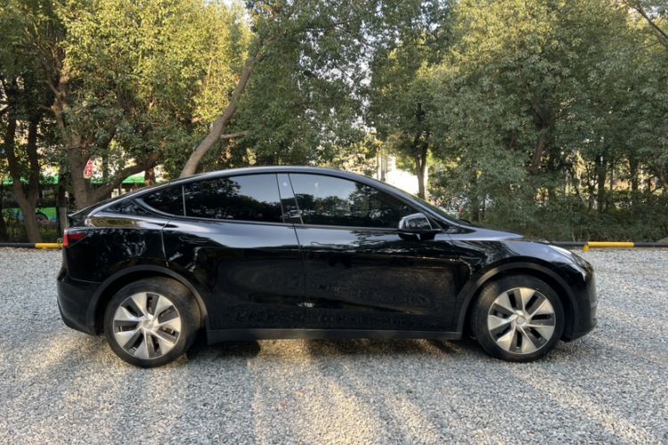 Used Tesla Model Y 2021 Standard Range Rear-Wheel Drive Version
