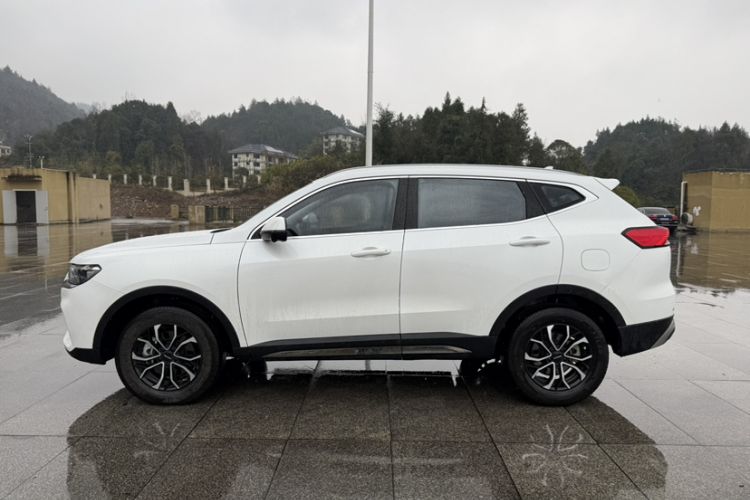 Used Haval H6 2023 National Trend Edition 1.5T Automatic Urban Version
