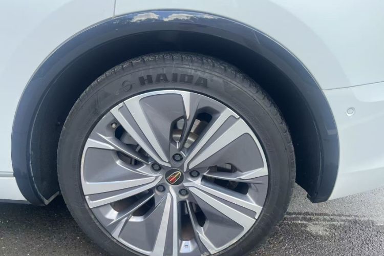 Used Hongqi E-HS9 2021 510 km Range Flagway Edition Six Seats
