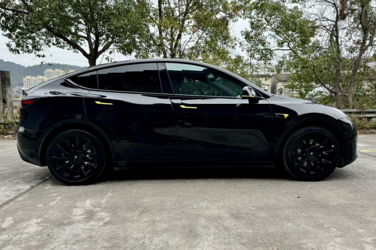 Used Tesla Model Y 2021 Standard Range Rear-Wheel Drive Version
