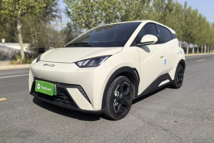 Used BYD Seagull 2023 Free Edition Exterior 1