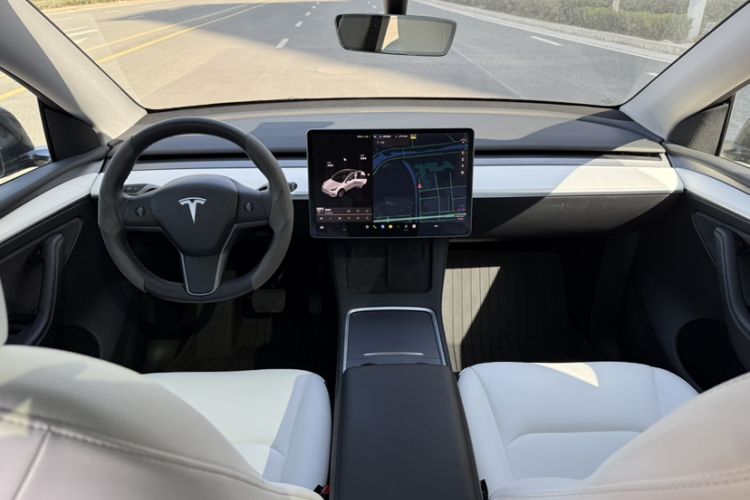 Used Tesla Model Y 2021 Standard Range Rear-Wheel Drive Version
