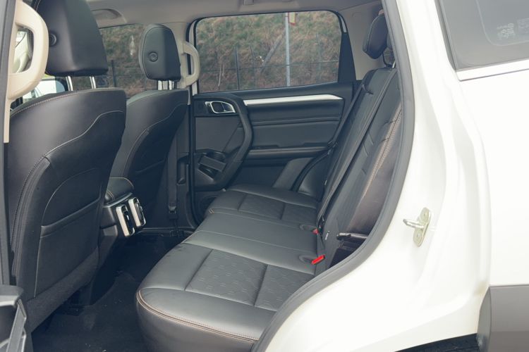 Used Haval DARGO 2022 2.0T DCT 4x4 Chinese Rural Dog Edition Left Rear Seat