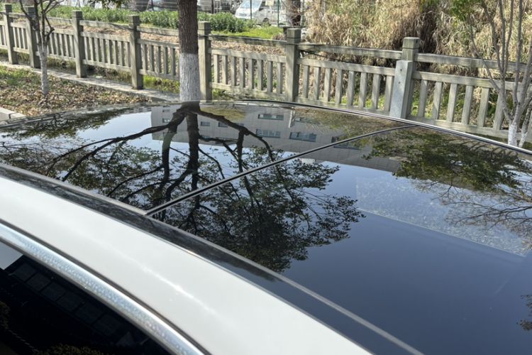 Used Mercedes-Benz C-Class 2015 C 200 L Sport Edition
