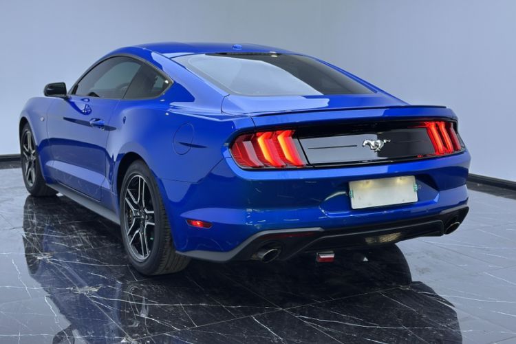 Used Ford Mustang 2019 2.3T Automatic Hardtop Base Version U.S. Specification Exterior 4