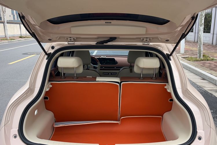 Used ORA Good Cat 2024 401 km Luxury Version