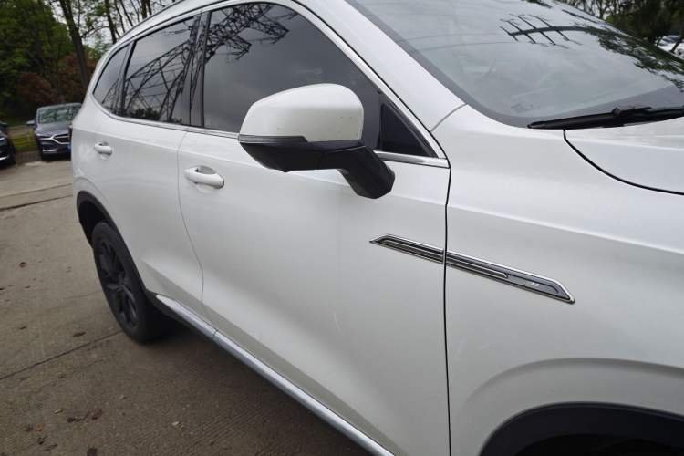 Used Haval H6 2021 3rd Generation 2.0T Automatic All-Wheel Drive Max Exterior 5