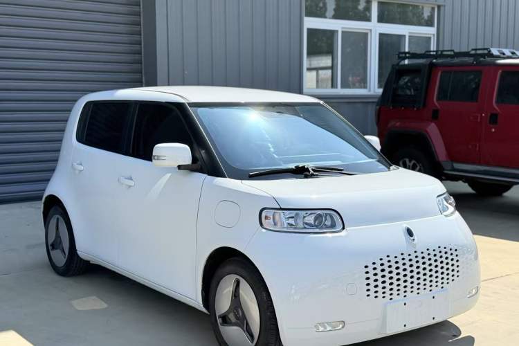 Used ORA White Cat 2020 360 km Luxury Version
