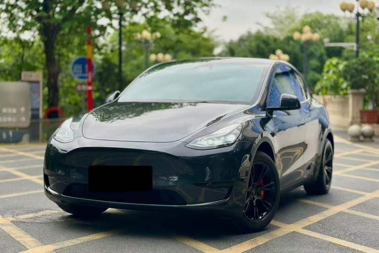 Used Tesla Model Y 2024 Rear-Wheel-Drive Version Exterior 1