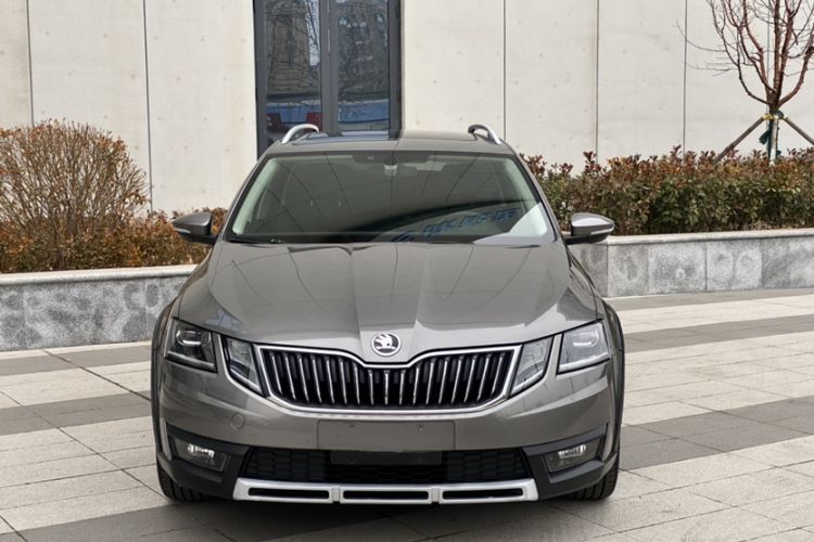Used Skoda Octavia 2019 TSI280 DSG Luxury Edition Station Wagon China VI Standard
