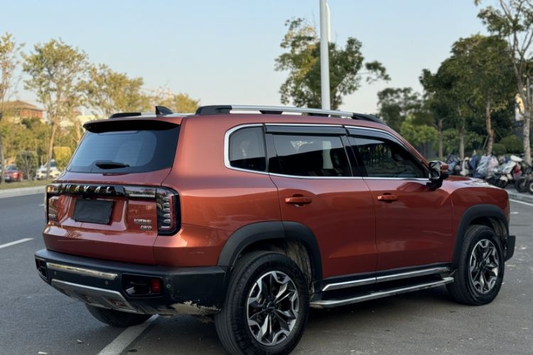 Used Haval DARGO 2021 2.0T DCT 4x4 Chinese Rural Dog Edition