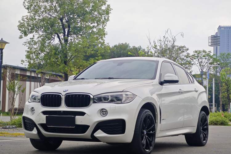 Used BMW X6 2019 xDrive35i M Sport Package