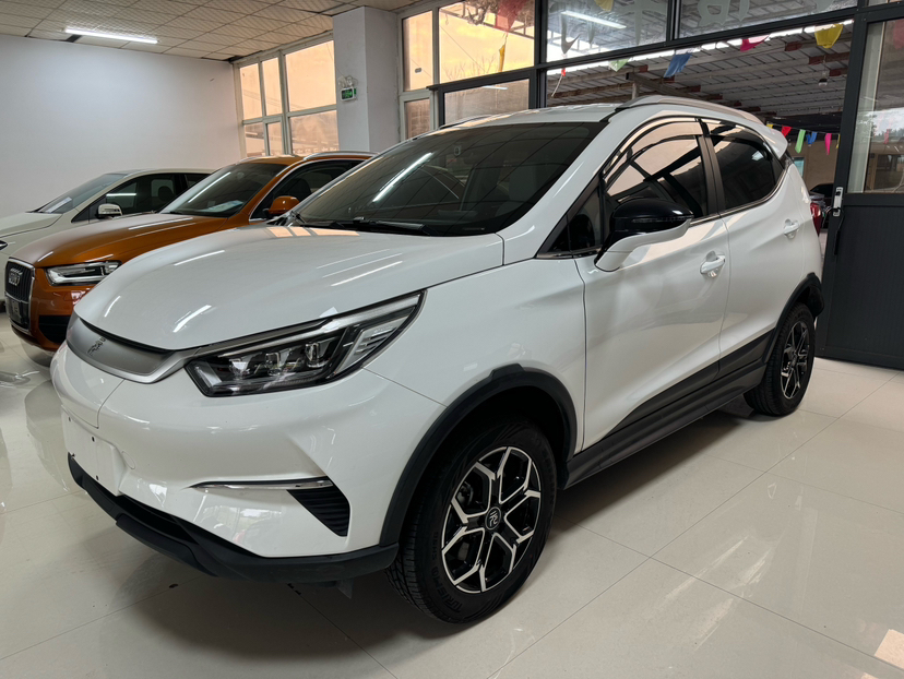 BYD Yuan Pro 2021 "Love for a Lifetime" Edition — снимка 13