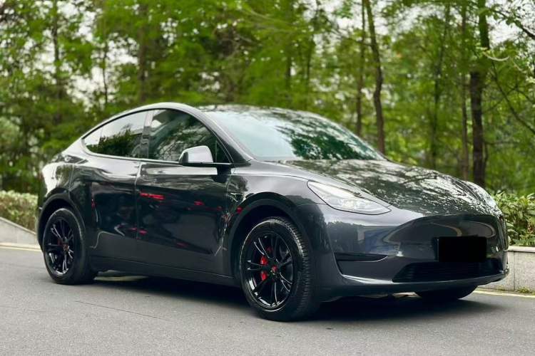 Used Tesla Model Y 2024 Rear-Wheel-Drive Version Exterior 6