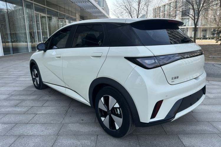 Used BYD Dolphin 2023 420 km Free Version
