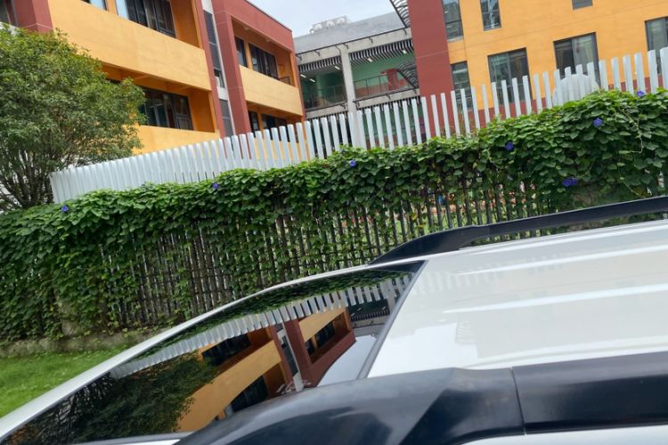 Used Toyota Prado 2019 3.5L Automatic TX-L Deluxe Edition
