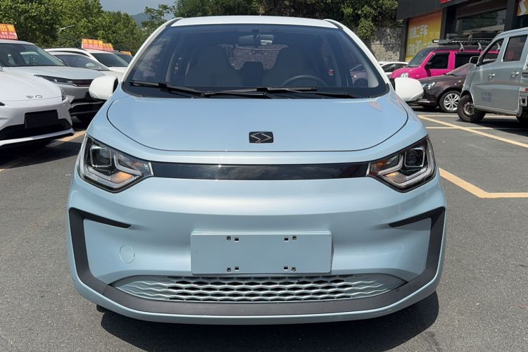 Used SOL E10X 2022 Flower Fairy Design Four-Leaf Clover