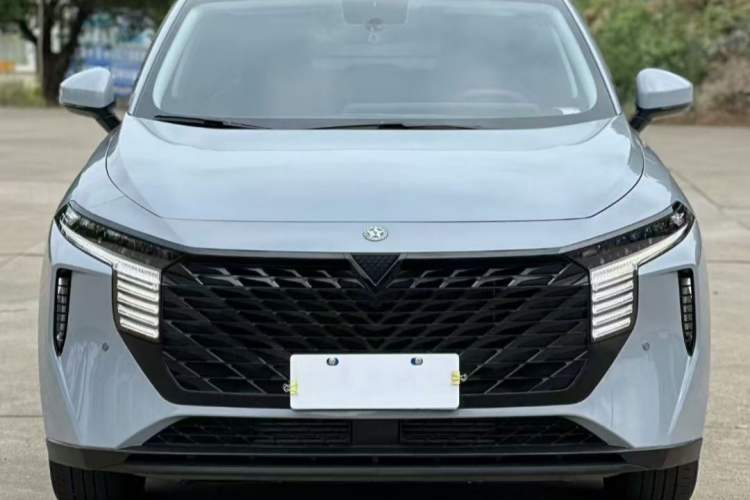 Used Venucia V 2021 260T Idol Edition
