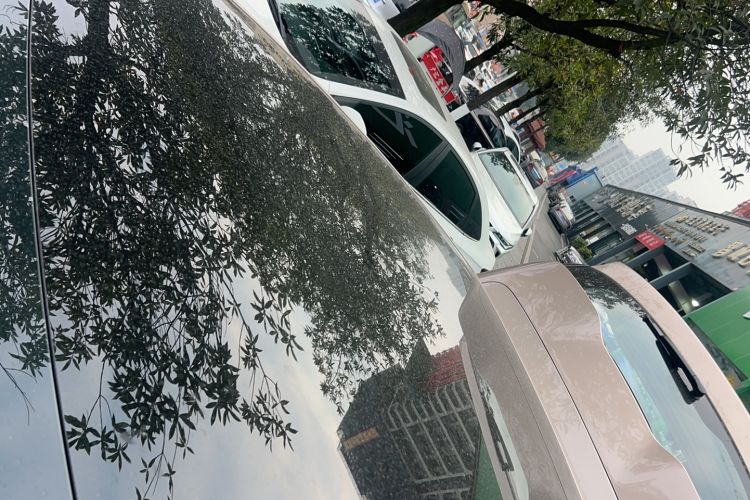 Used Qiyuan Q05 2026 Model 506 Max