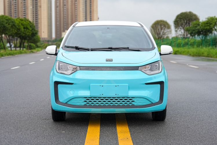 Used SOL E10X 2022 Flower Fairy Style Baby's Breath