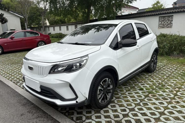 Used Geometry EX3 Kung Fu Cow 2021 Tough Bull Cow