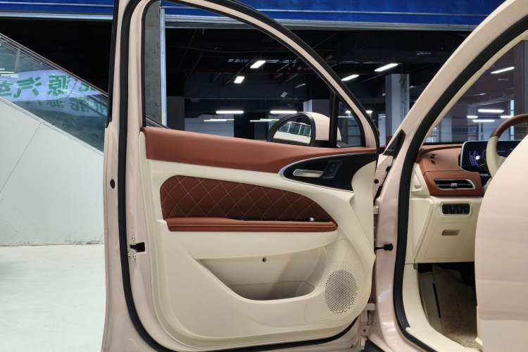 Used ORA Good Cat 2023 401 km Standard Range Luxury Version Lithium Iron Phosphate
