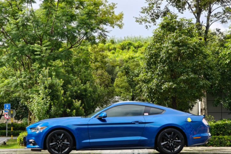 Used Ford Mustang 2016 2.3T Performance Edition