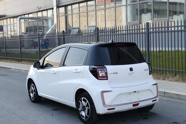 Used SOL E10X 2022 Flower Fairy Style Baby's Breath