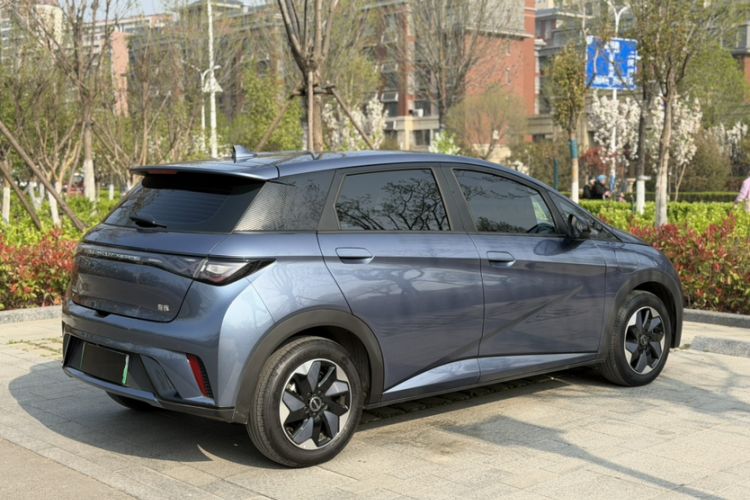 Used BYD Dolphin 2024 Honor Edition 420km Freedom Version Exterior 2