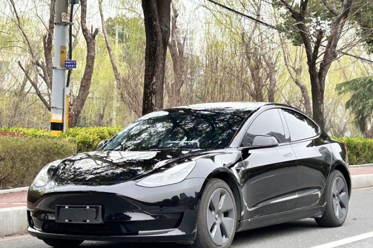 Used Tesla Model 3 2021 Standard Range Rear-Wheel Drive Upgraded Version 3D6
