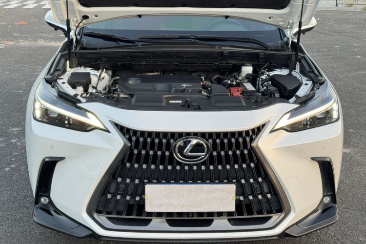 Used Lexus NX 2022 260 Front-Wheel Drive Chuan Yue Edition