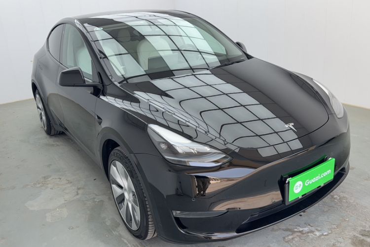 Used Tesla Model Y 2021 Standard Range Rear-Wheel Drive Version
