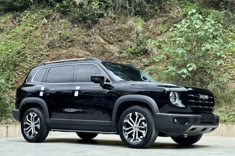 Used Haval DARGO 2022 1.5T DCT Two-Wheel Drive Border Collie Edition