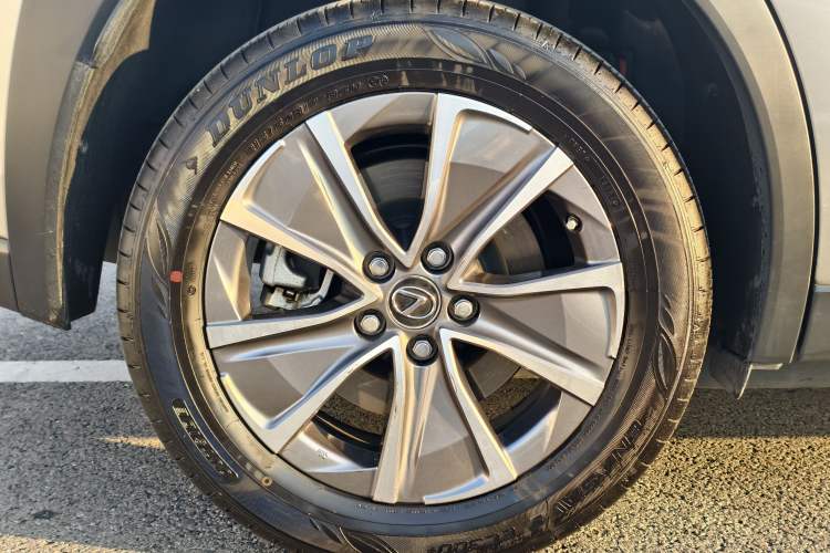 Used Lexus UX New Energy 2020 300e Pure·Joy Edition
