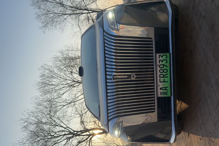 Used Wey Gaoshan 2025 Four-Wheel Drive Alpine 8