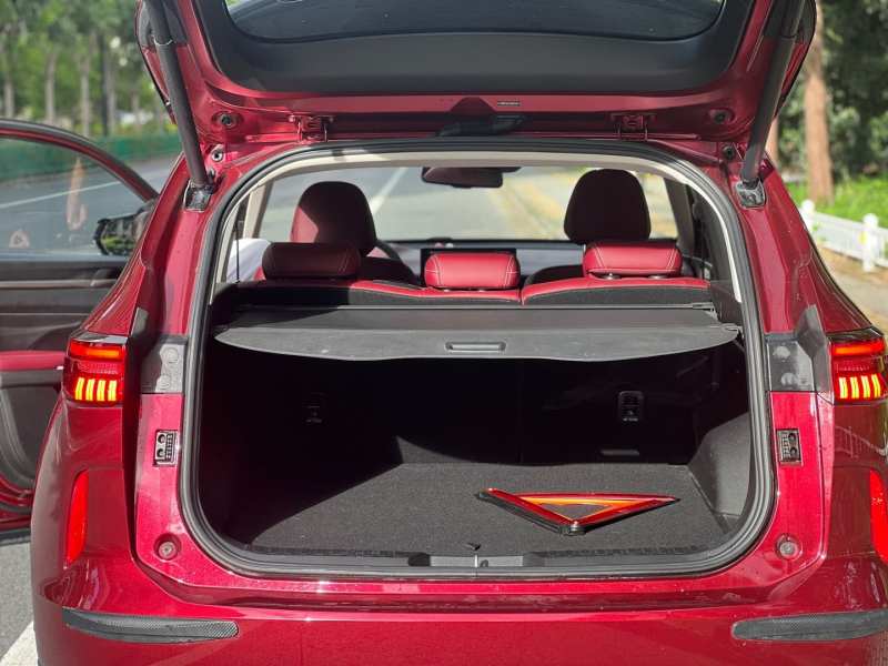 Used Haval H6 2021 3rd Generation 1.5T Automatic Two-Wheel-Drive Supreme — 19