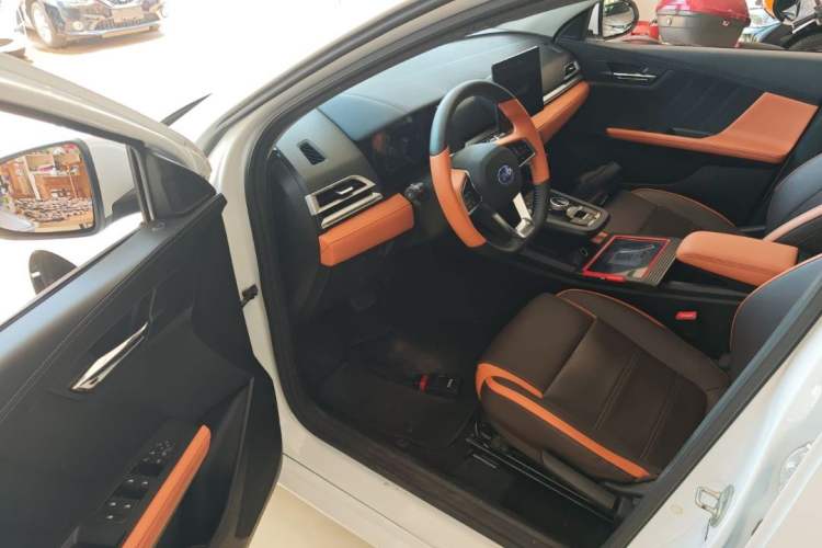 Used BYD e2 2021 Luxury Model Interior 6