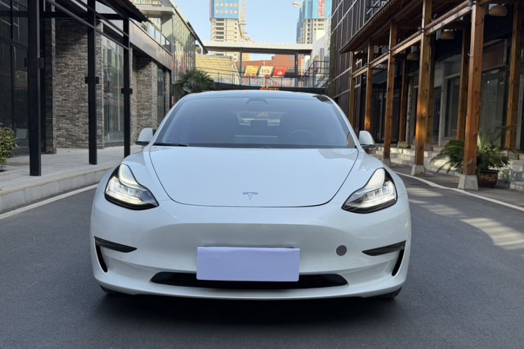 Used Tesla Model 3 (Import) 2019 Long-Range Rear-Wheel-Drive Version
