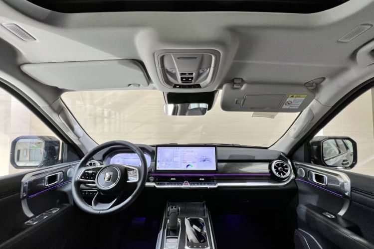 Used Tank 400 2025 2.4T Diesel Version
