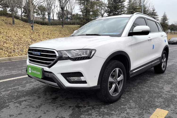 Used Haval H6 Coupe 2016 Blue Label 1.5T Automatic Two-Wheel Drive Elite Model