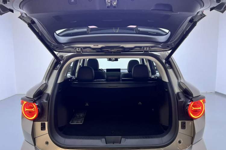 Used Haval H Dog New Energy 2023 DHT-PHEV 105km Tide Electric Version Plus