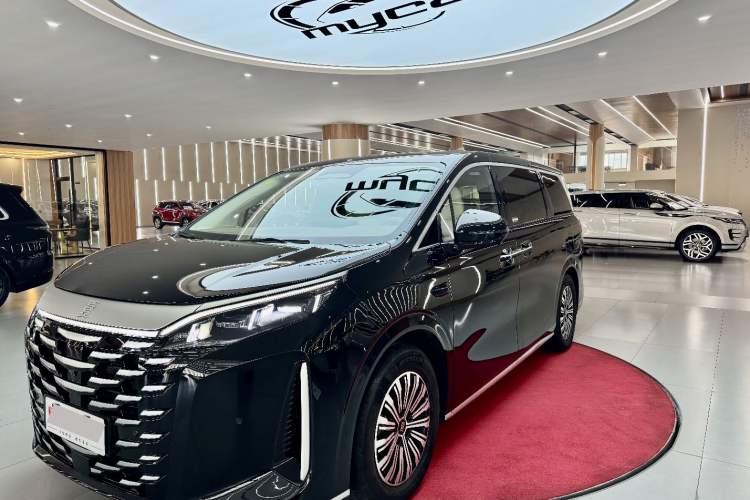 Used BYD Xia 2025 DM-i 1.5T 180km Excellence Model Exterior 2