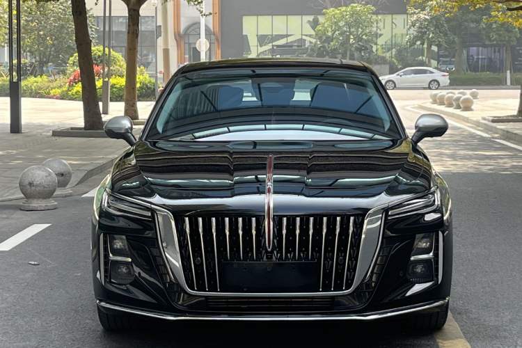 Used Hongqi H5 2025 2.0T Automatic Flag Edition – 500 000 Units Commemorative Version Exterior 5
