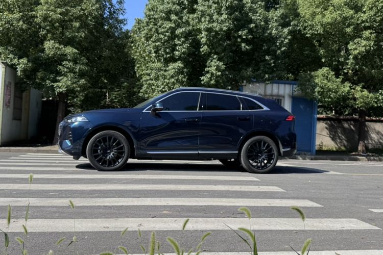 Used Wey Mocha New Energy 2022 1.5T Zero-Anxiety Performance Edition