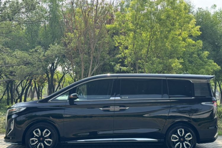 Used Hongqi HQ9 2023 2.0T Smart Connect Flagship Edition Exterior 2