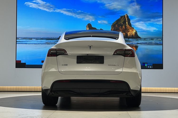 Used Tesla Model Y 2022 Revised Version Long-Range All-Wheel Drive