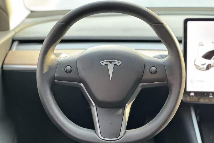 Used Tesla Model 3 (Import) 2019 Standard Range Rear-Wheel Drive Upgraded Version (52 kWh)